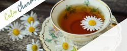 Calm Chamomile Tea Benefits